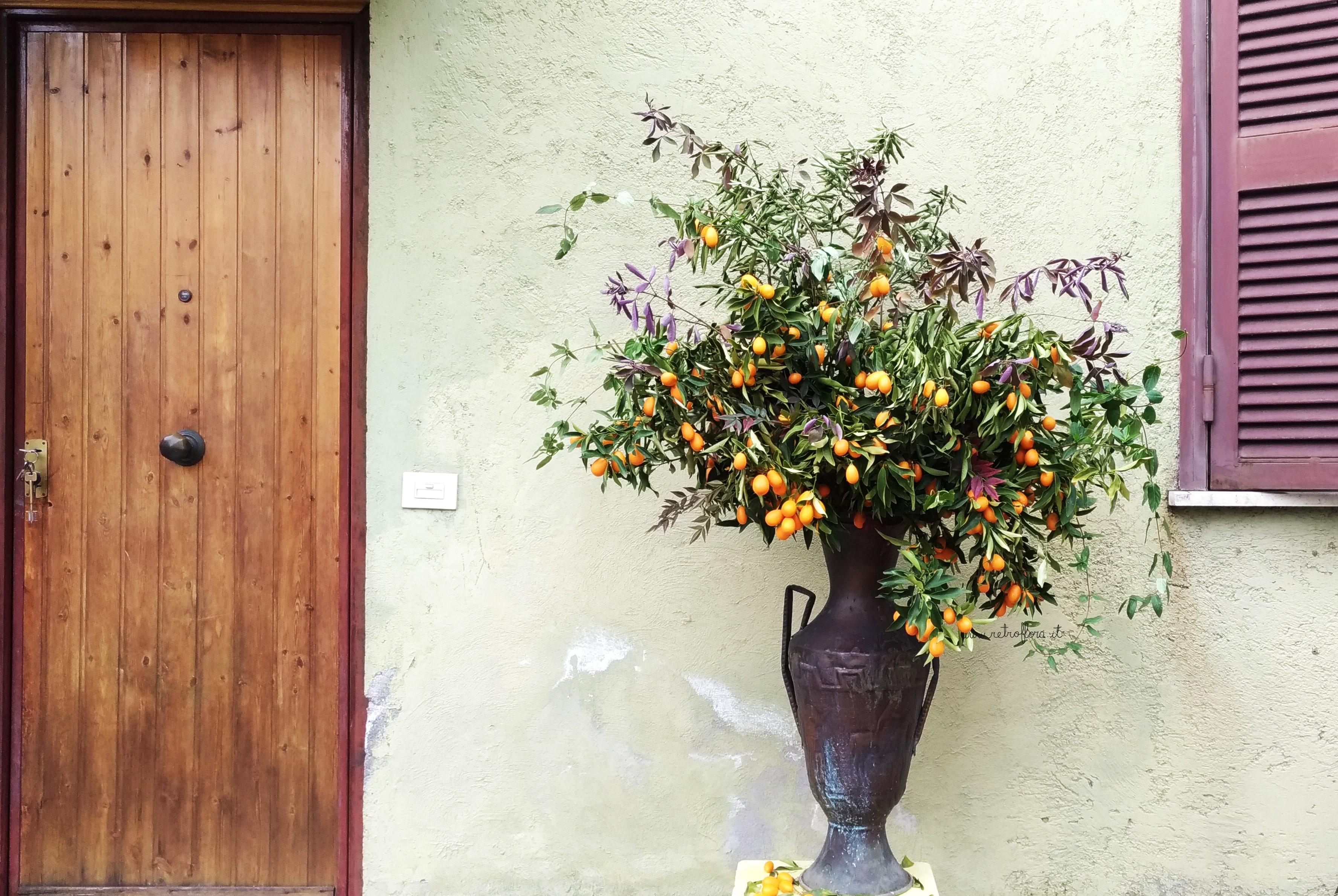 Fiori e Frutti, Composizione, Mandarino Cinese, Kumquat, la Bellezza ai Tempi del Coronavirus